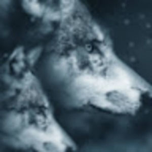 Meet your Posher, Carly